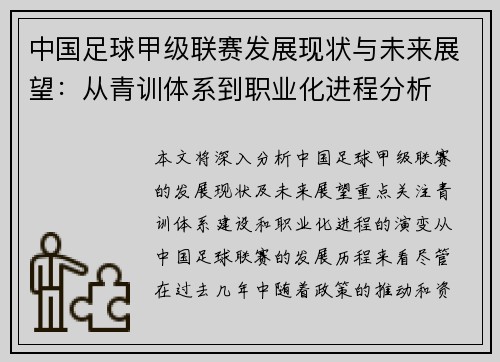 中国足球甲级联赛发展现状与未来展望：从青训体系到职业化进程分析