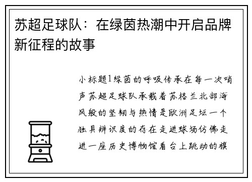苏超足球队：在绿茵热潮中开启品牌新征程的故事